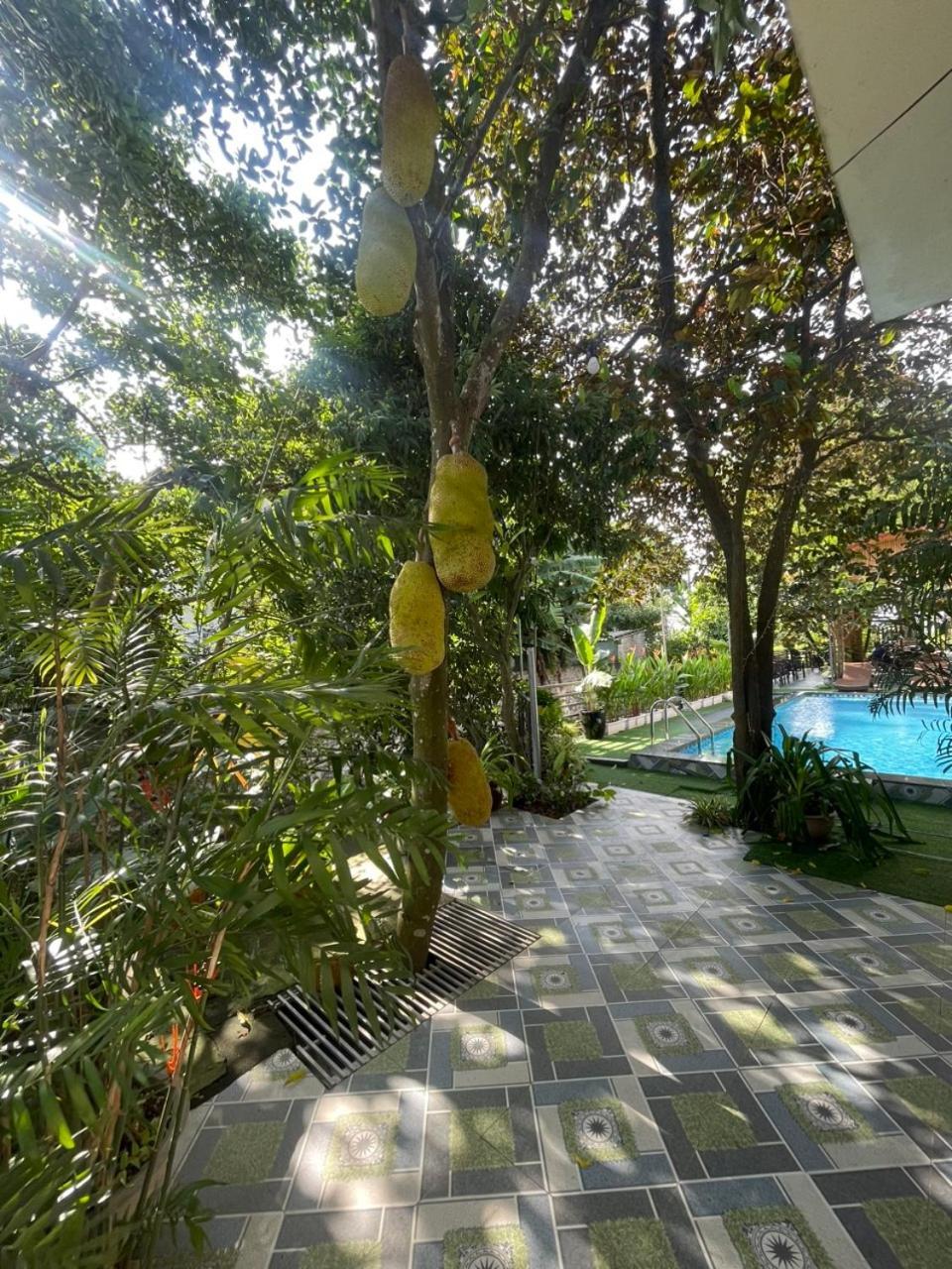 Tam Coc Relax Homestay Ninh Binh Bagian luar foto