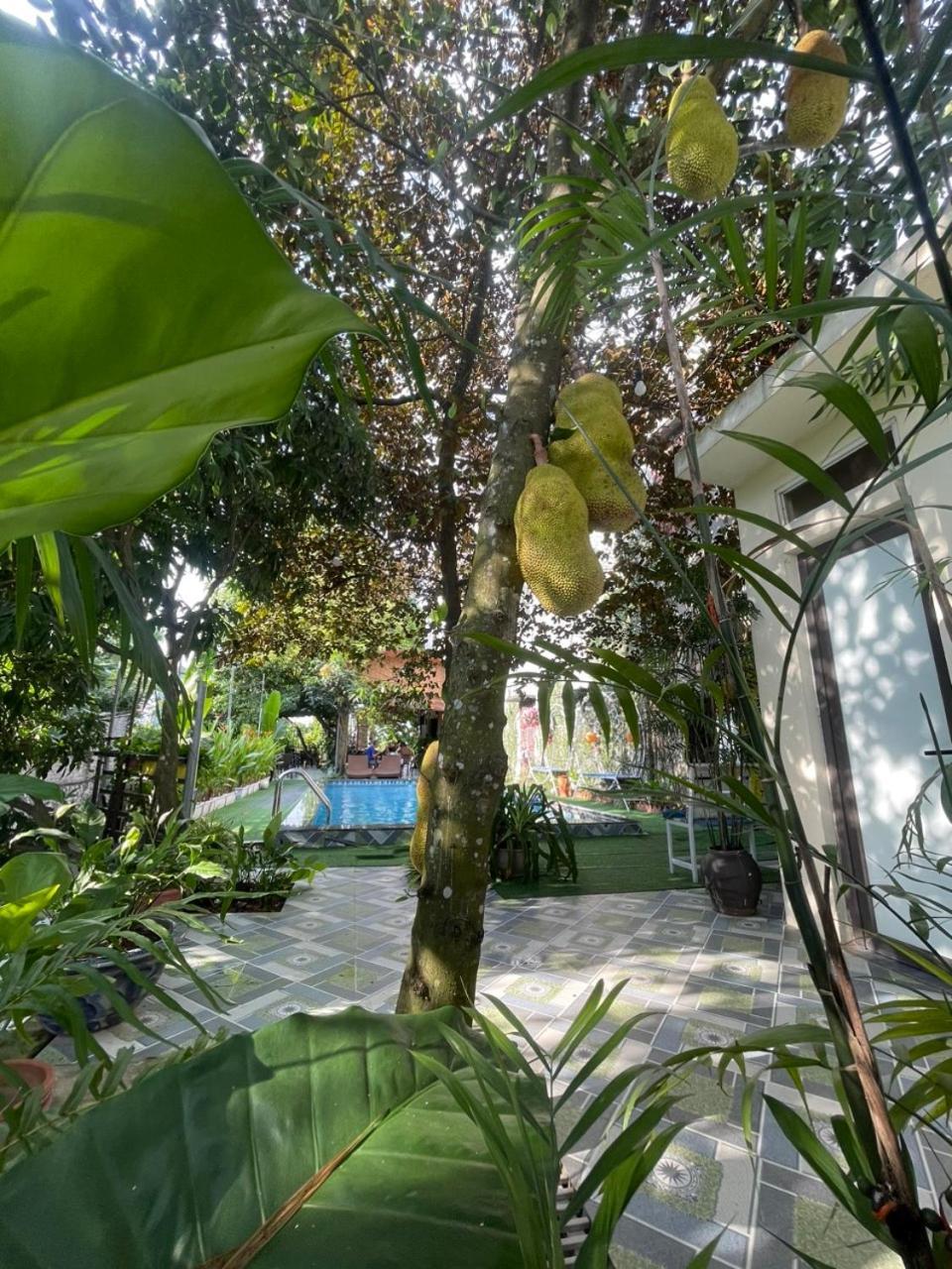 Tam Coc Relax Homestay Ninh Binh Bagian luar foto